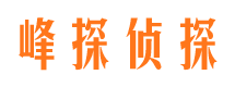 江川侦探公司